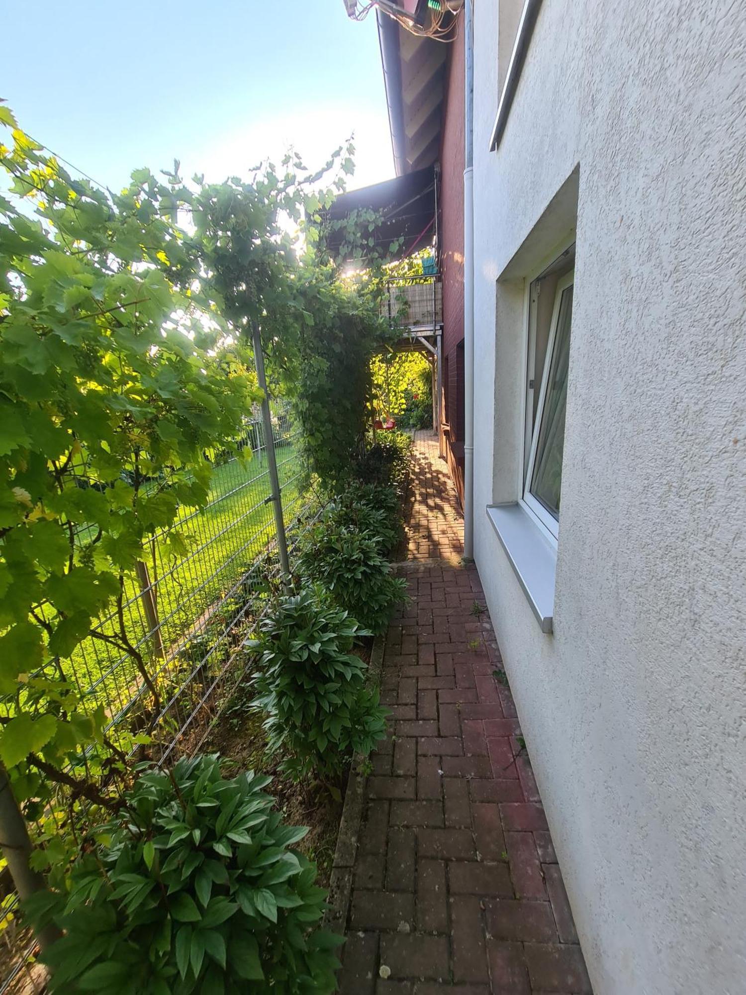 Suedharzperle Lägenhet Bad Lauterberg Exteriör bild